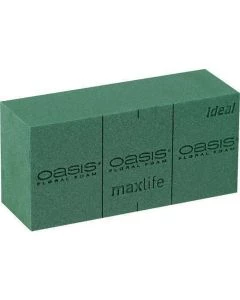 1L-10-01038x