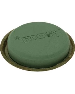1Y12100