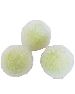 G0411555