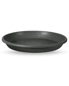 JV-SV019-0560-011