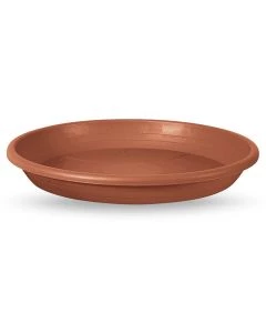 JV-SV019-0650-002