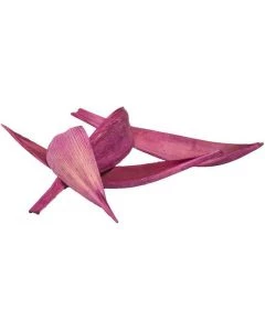 U0117502